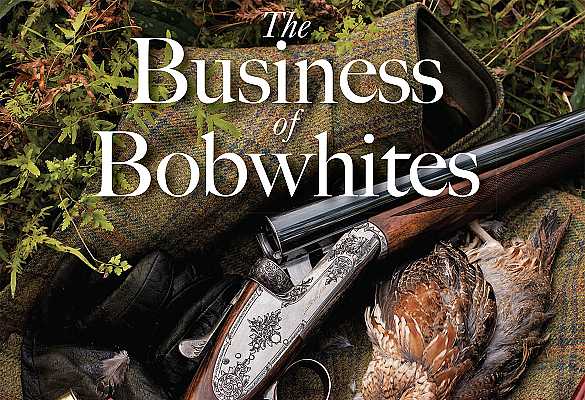 Business of Bobwhites